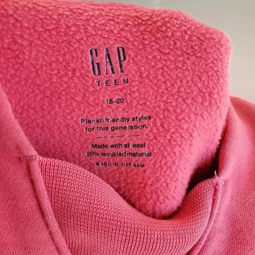 GAP Teen Logo Hoodie Size 18-20